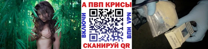 где купить наркоту  Калининск  Alpha-PVP СК 
