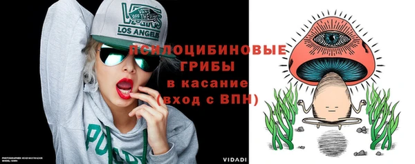 круглые Вязьма