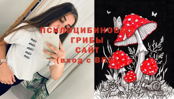 круглые Вязьма