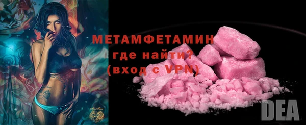 сатива Волоколамск