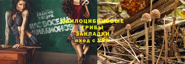 круглые Вязьма